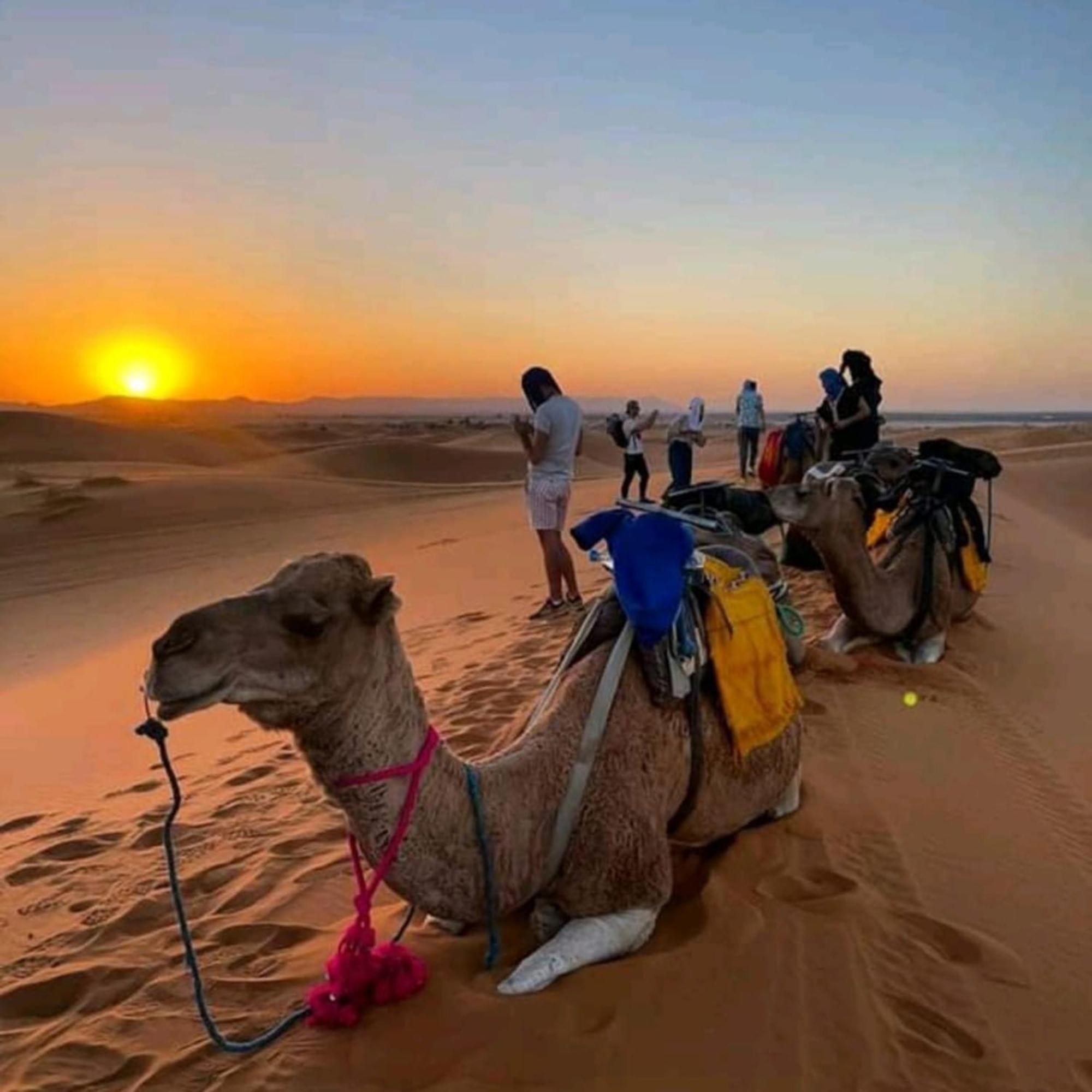 Erg Chebbi Romantic Desert Camp Merzouga Exteriör bild